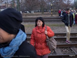 Családi hétvége a Fővárosi Nagycirkuszban